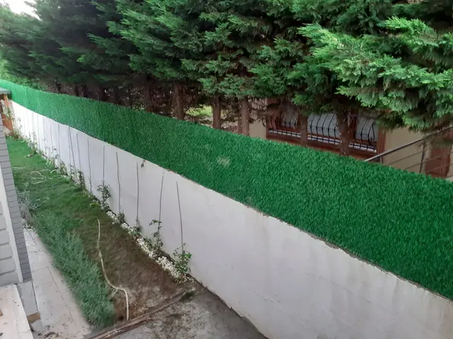 Bahçe duvarı üzerinde çimçit uygulaması