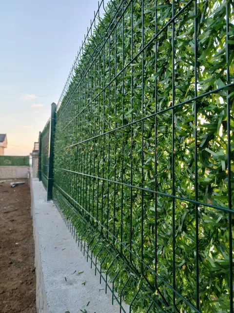 Panel çit üzerine yüksek çimçit kaplama