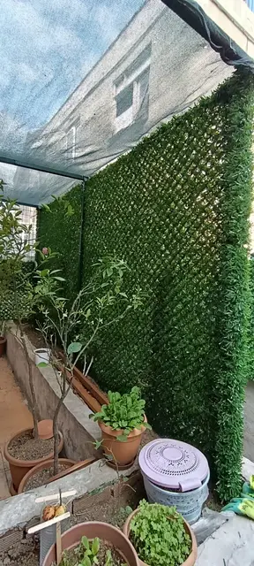 Balkon ve teras çevresinde çimçit