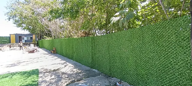İşletme otoparkı çevresinde çimçit