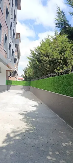 Site girişinde duvar üstü çimçit