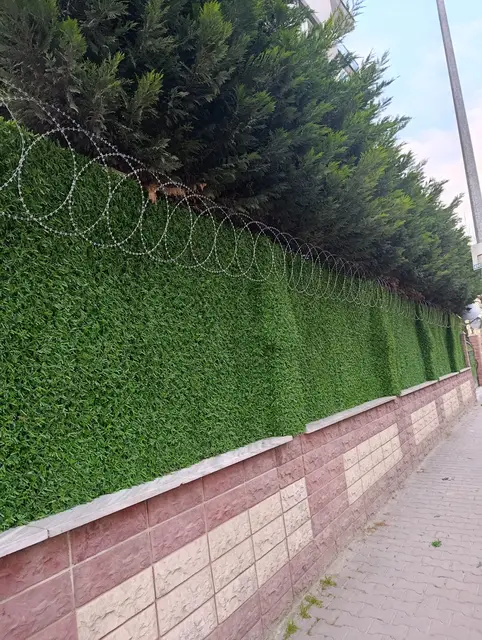 Duvar üstü çimçit ve jiletli tel