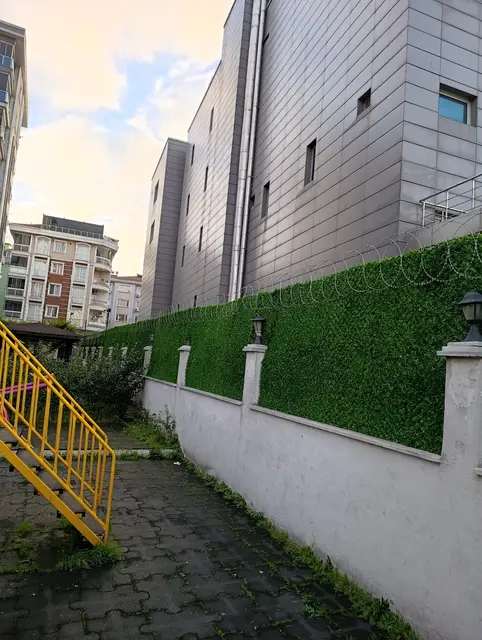 Site bahçe duvarı üzerinde çimçit