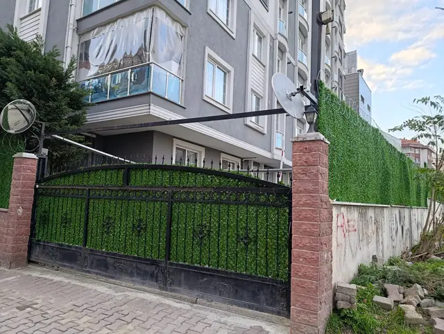 Apartman giriş kapısı yanında çimçit